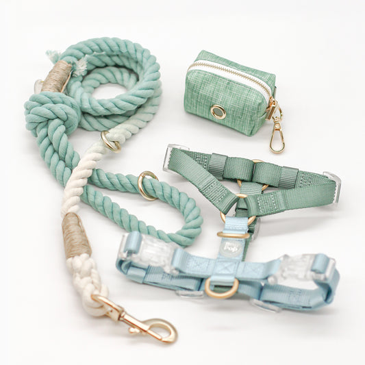 100% cotton rope leash ombre sage green pastel 5ft handle ORing gold hardware dog walking pet accessory fade hemp cord harness matching set combo poop bag dispenser bop pop pets