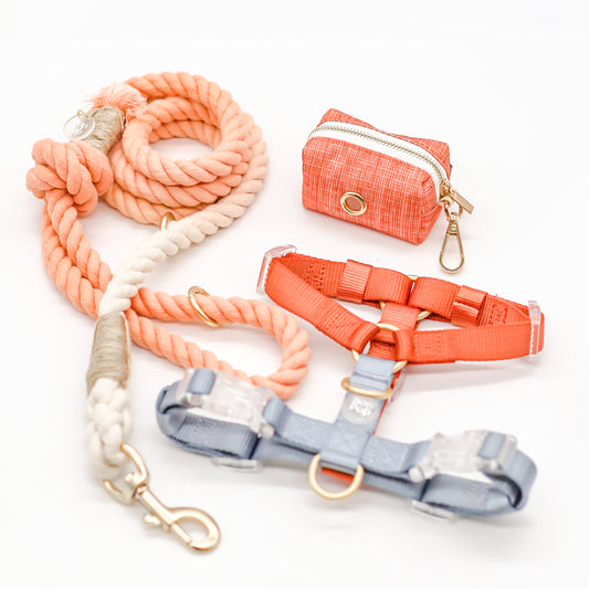 100% cotton rope leash ombre orange sorbet sherbert pastel 5ft handle ORing gold hardware dog walking pet accessory fade hemp cord harness matching set combo poop bag dispenser bop pop pets