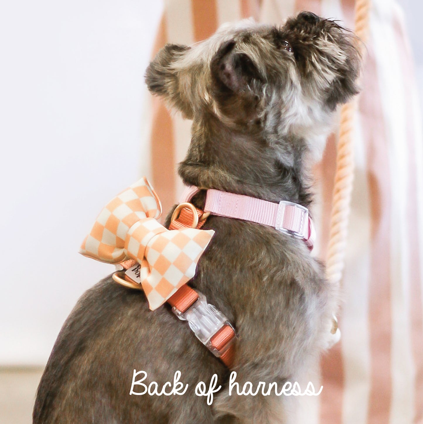 Easy Snap bow tie harness strap bow tie strap for dog harness pet accessory PU leather vinyl vegan material sold brass button snaps bop pop pets nylon 1 inch strap snap close attachment front bow tie dog cat pets Peach Checkerboard