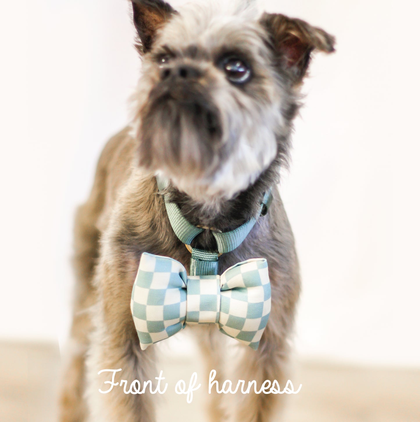 Easy Snap bow tie harness strap bow tie strap for dog harness pet accessory PU leather vinyl vegan material sold brass button snaps bop pop pets nylon 1 inch strap snap close attachment front bow tie dog cat pets Aqua Blue checkerboard