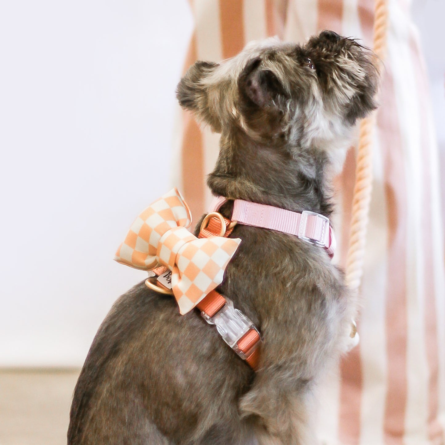 Bow Tie | Peach Checkerboard