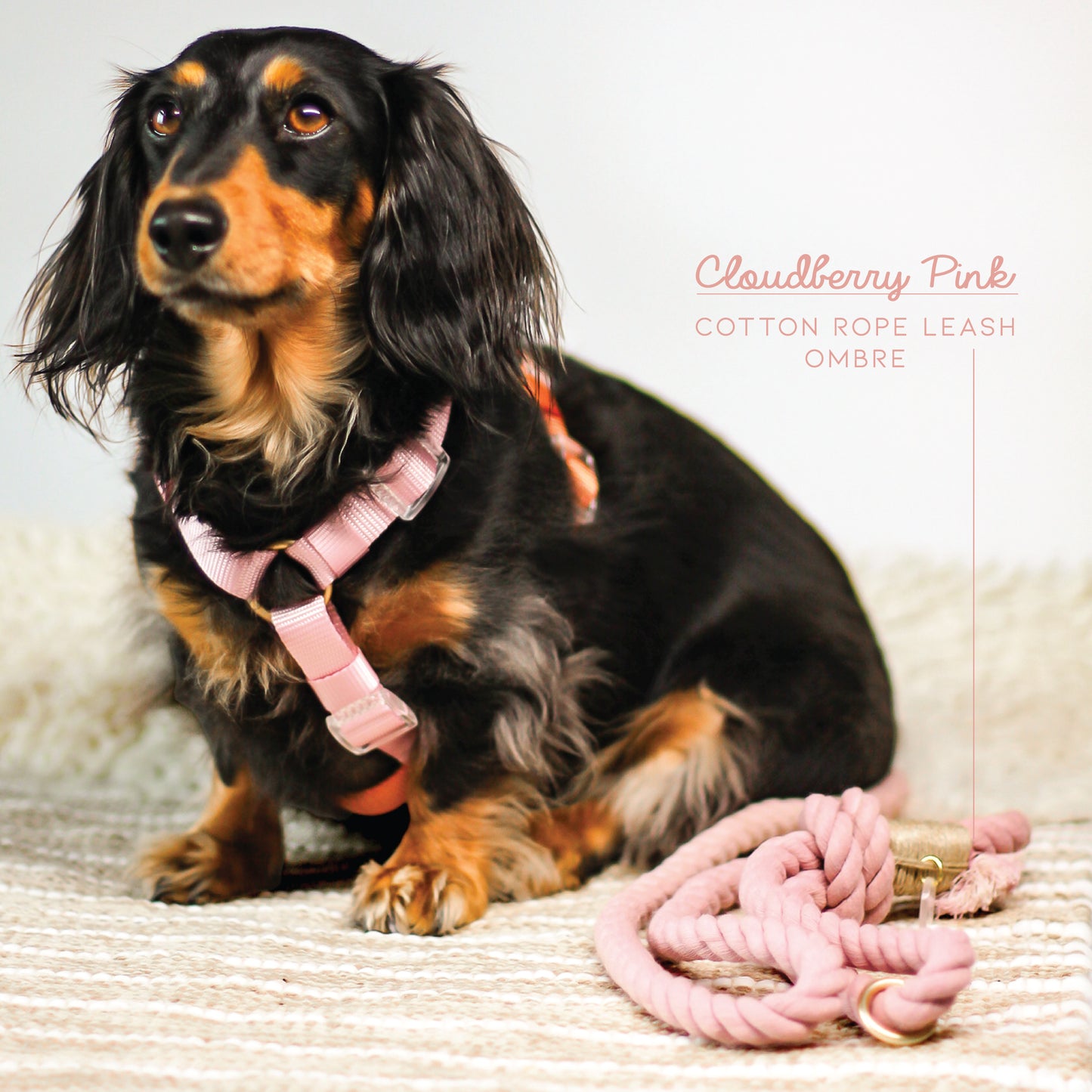 Cotton Rope Leash Ombre Pastel | Cloudberry Pink