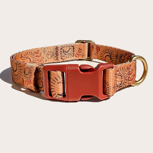 A dog collar with a warm orange and brown patterned webbing, featuring a prominent red plastic buckle and a brass ring, shown on a light beige background.