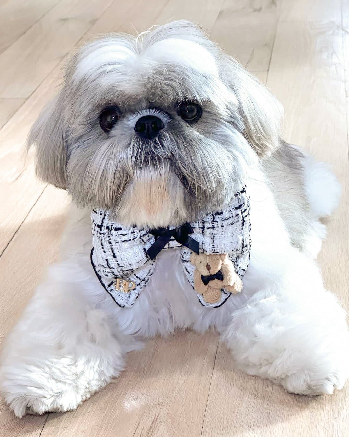 Black and White tweed chanel inspired dog bow tie with mini teddy bear in tuxedo bow tie. Bop Pop Pets pet accessories