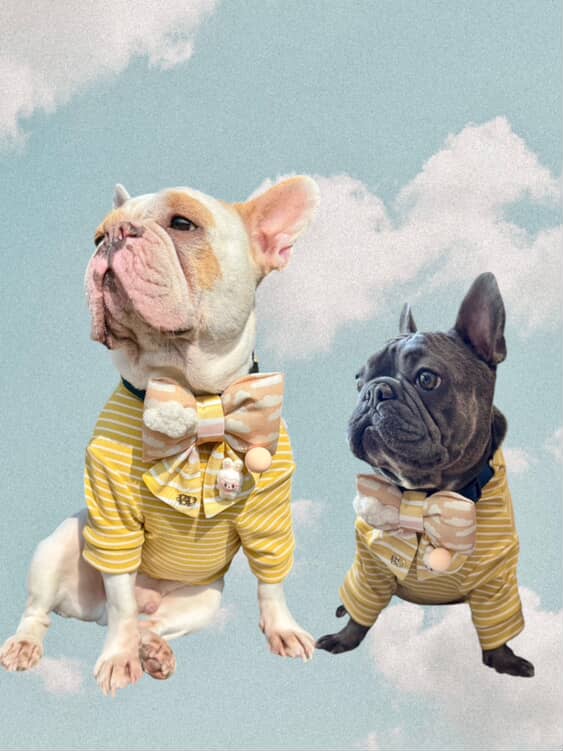 Sailor Bow Peach | Labubu in the Clouds RESTOCKED