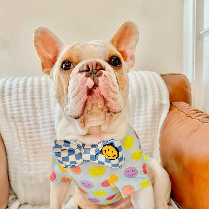 Cute Bow Tie Unique Bow Tie Dog mom gifts with smiley face patch Organic cotton structured bow tie Mustard yellow brooklyn style checkerboard prints collar bow Bop pop pets dog cat pet accessories dog mom gifts frenchie bulldog