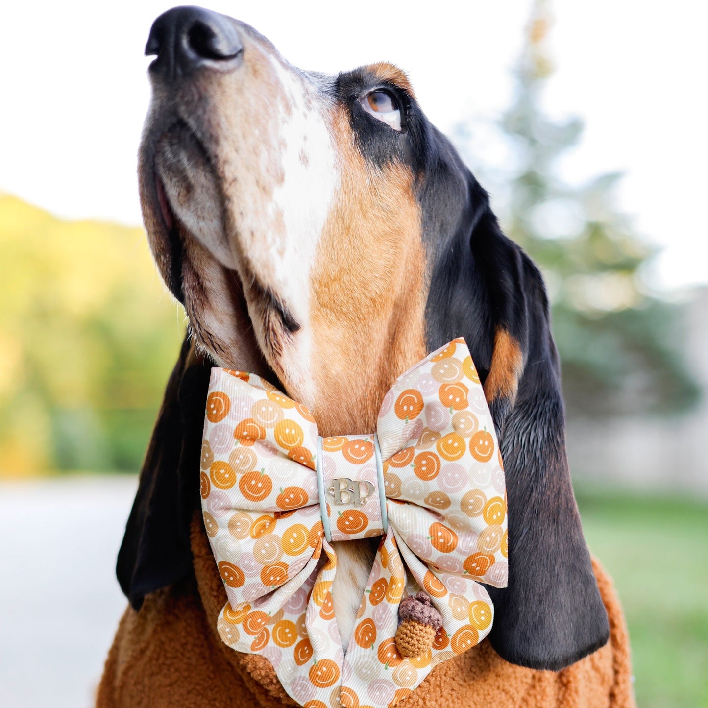 Dog wearing a brown outfit with a large bow tie outdoors