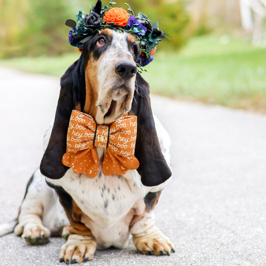 Sailor Bow | Hey Boo Halloween Scallop Bow