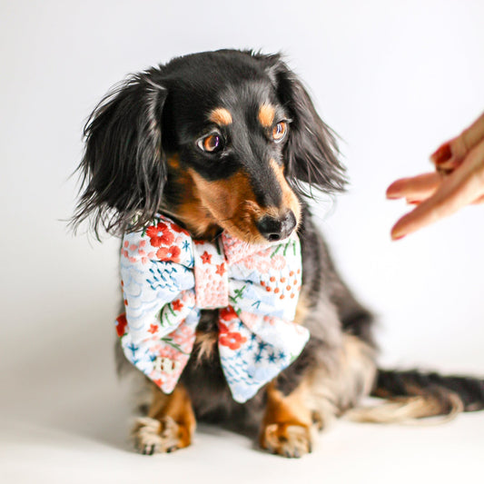 Embroidery floral white cotton dog collar sailor bow tie for dogs cats and pets Bop Pop Pets puffy bows for fashionble dogs pups Spring bow ties 2025 Dachshund dogs Premium dog products premium dog collar bow ties