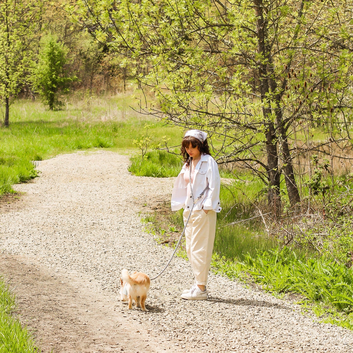 Hands-Free Rope Leash | Rainbow Citrus