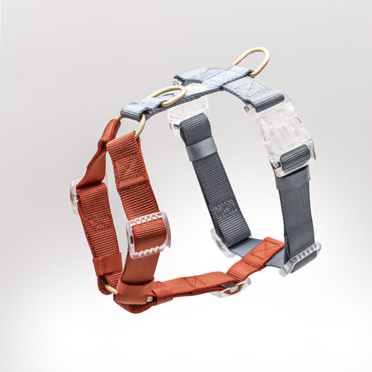 Dog Harness in Orange Blue Straps | Desert Dawn