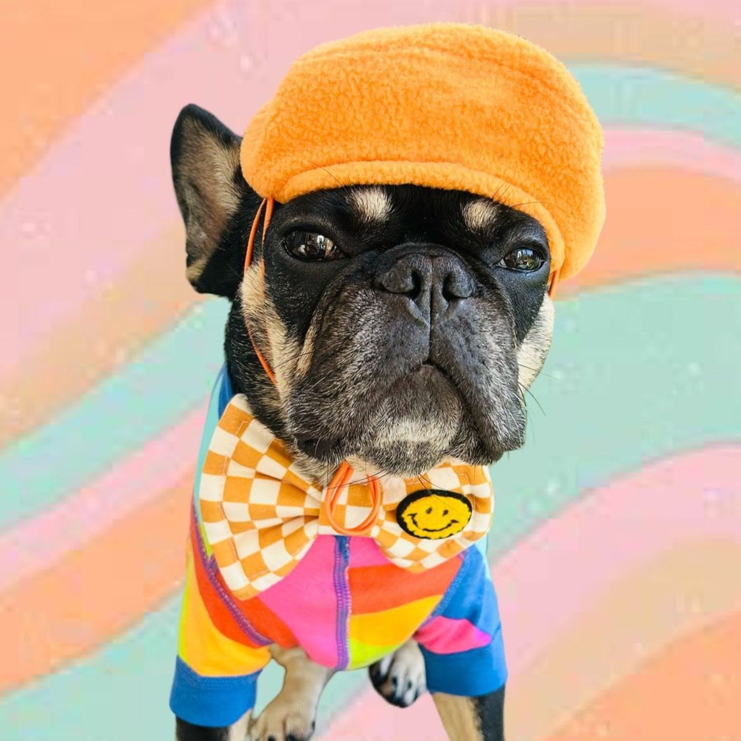 frenchie beret with checkerboard bow tie yellow with fuzzy smiley face colorful fun dog cat apparel bop pop pets Cute Bow Tie Unique Bow Tie Dog mom gifts with smiley face patch Organic cotton structured bow tie Mustard yellow brooklyn style checkerboard prints collar bow Bop pop pets dog cat pet accessories dog mom gifts