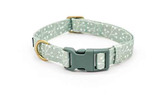 Dog Collar Modern Juniper Green Brass Nylon