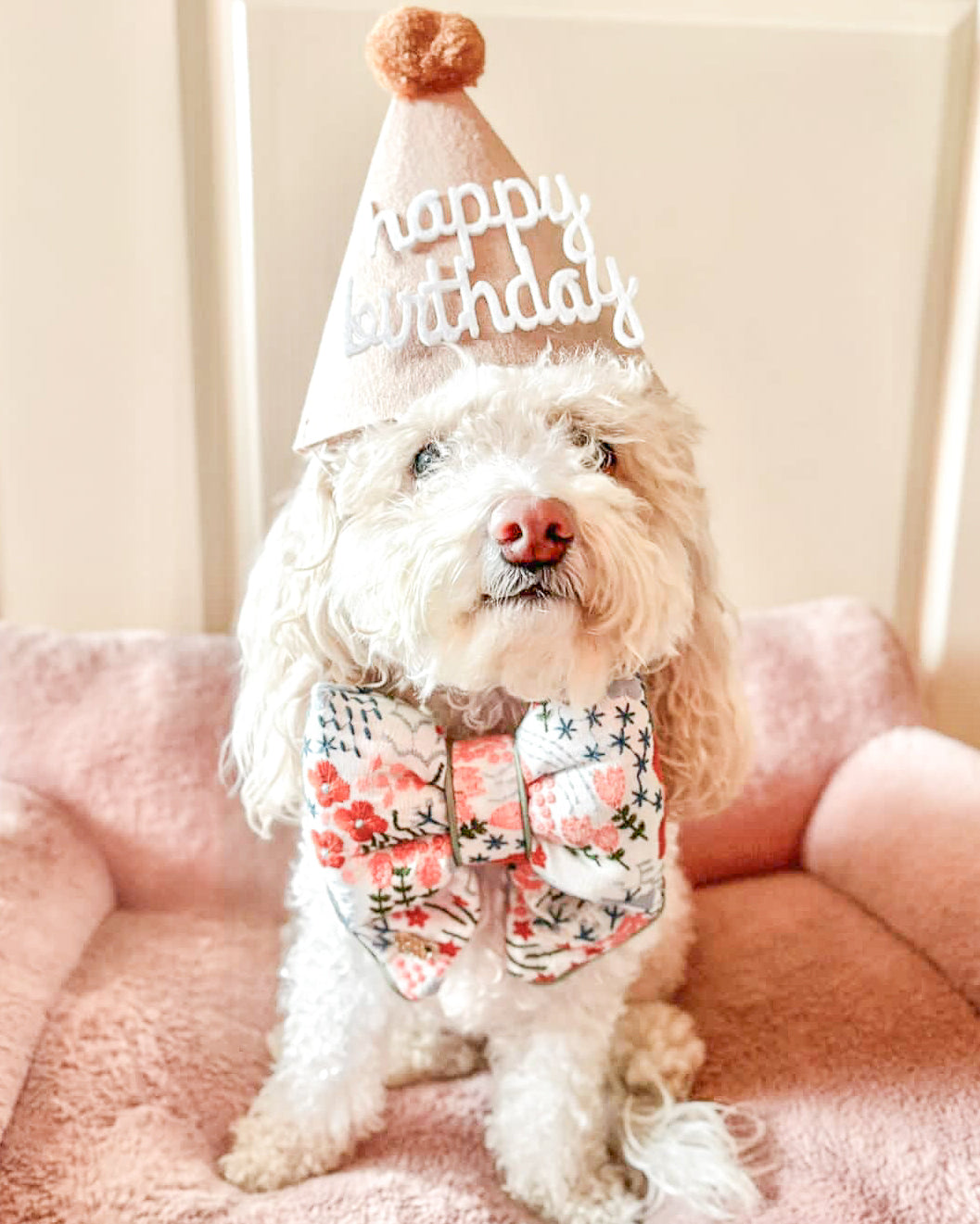 Embroidery Sailor Bow for dogs for celebration birthdays on dog collars Bop Pop Pets pet accessory