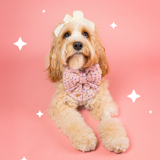 Pink tweed fabric Sailor Bow tie for dog collar Pet Dog bow accessory Bop Pop Pets