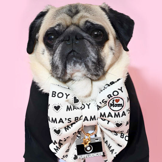 Mamas boy dog collar sailor bow Cutest Dog bows for pets