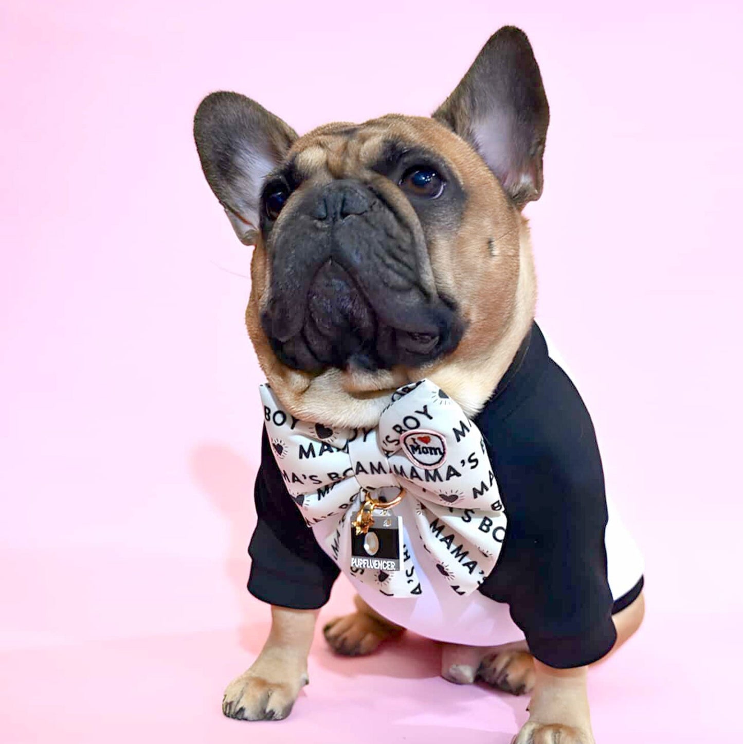 Frenchie Bow Ties for Dog Mom. Mamas boy dog collar sailor bow Cutest Dog bows for pets. Frenchie Dog mom accessories