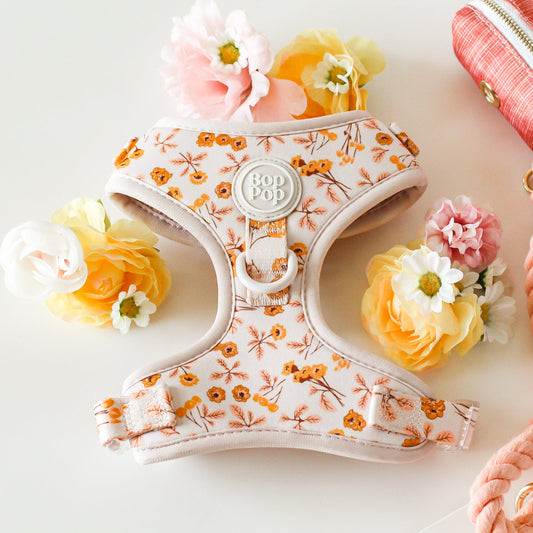 Dog harness with floral design, pink pouch, and colorful leashes on a light background