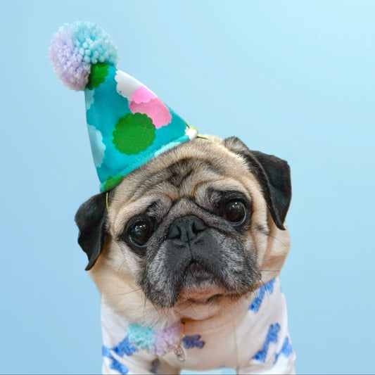 dog party hat for birthday, gotcha day and dog celebrations. dog mom dog party accessory pet hat bop pop pets Handmade in USA
