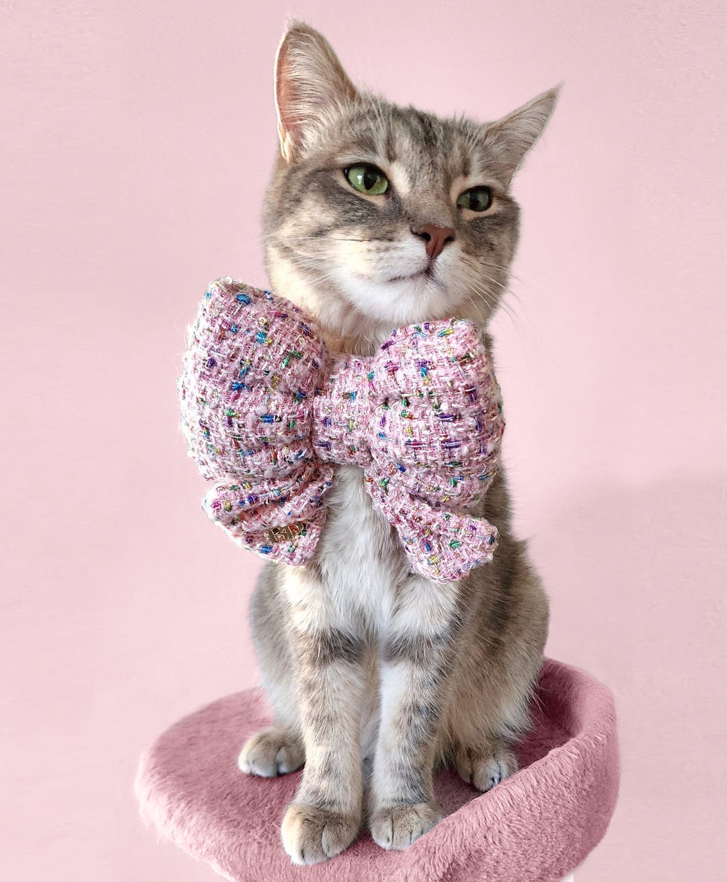 Sailor Bow | Sprinkled Pink in Tweed
