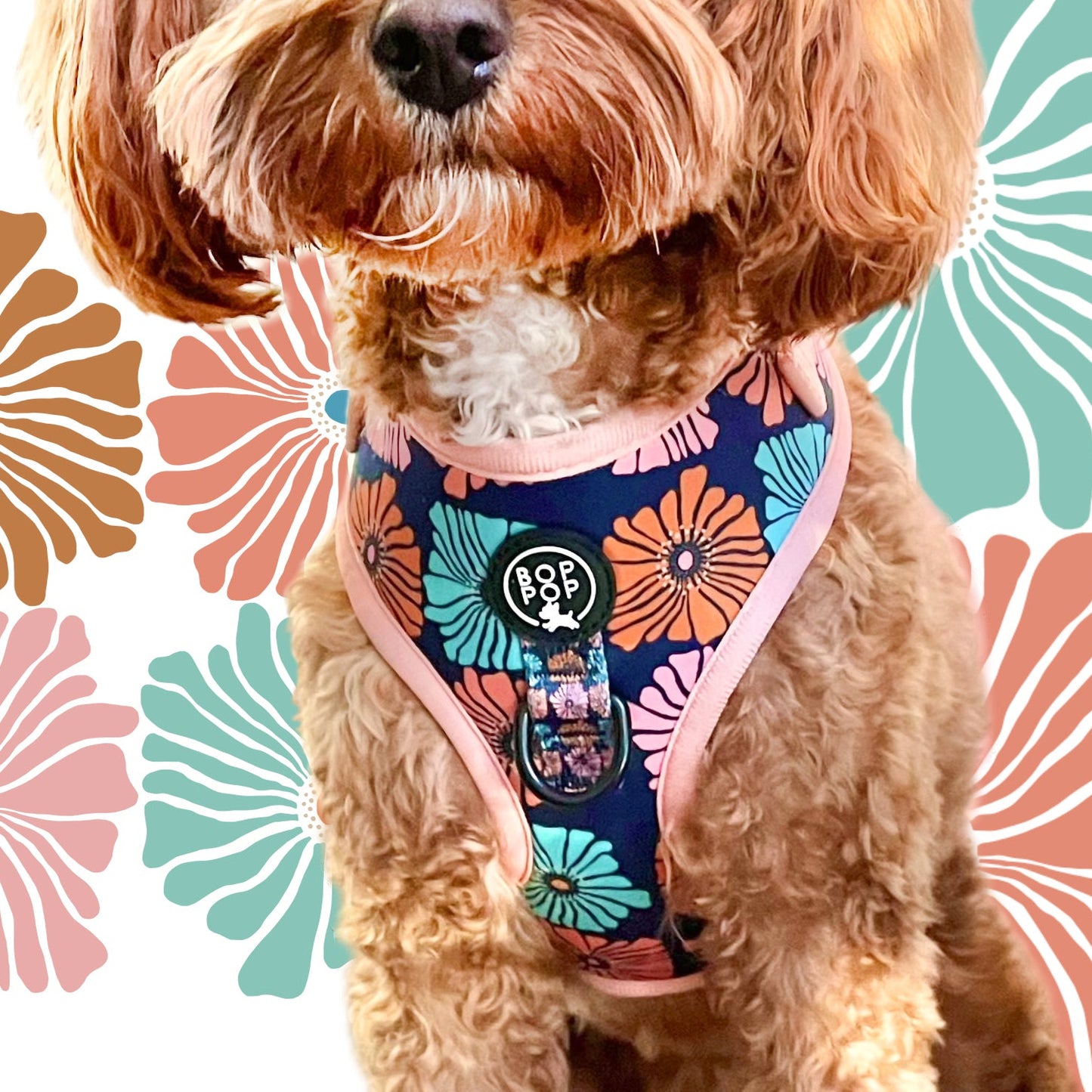 Soft Harness | DAZY 30% SALE!