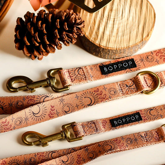 Dog leashes with gold clasps on a white surface, featuring the brand 'Boppy'.