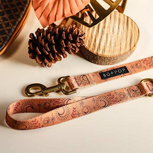Dog leash with decorative pattern and 'BOPPOP' branding on a neutral background