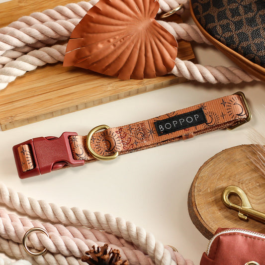 Dog leash, collar, and accessories on a textured surface with 'Bodopo' branding.