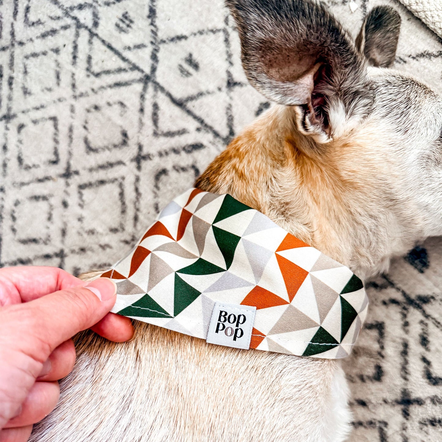 A small dog lying on a patterned rug while a human hand adjusts a geometric print bandana on its neck. The bandana has a white base with green, orange, and gray triangles, and a small white label reading 'Bop Bop'.