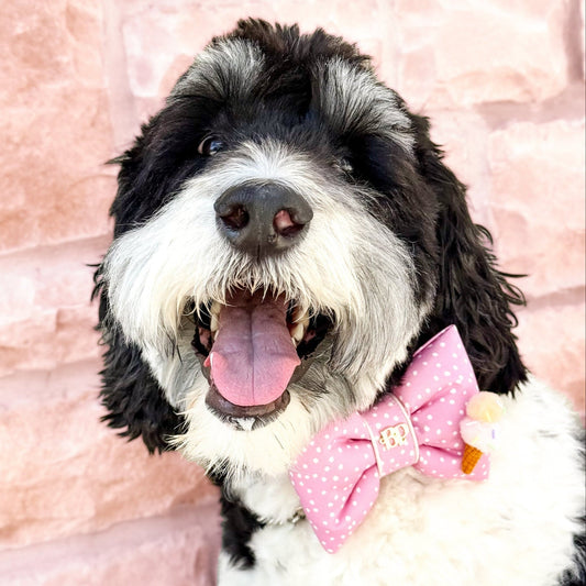 Pink white dot ice cream polka dot bow tie. Satin trim