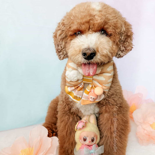labubu bow tie for dogs cats cotton sailor bow design with stripes, clouds. Coral orange peach colors Bop Pop Pets
