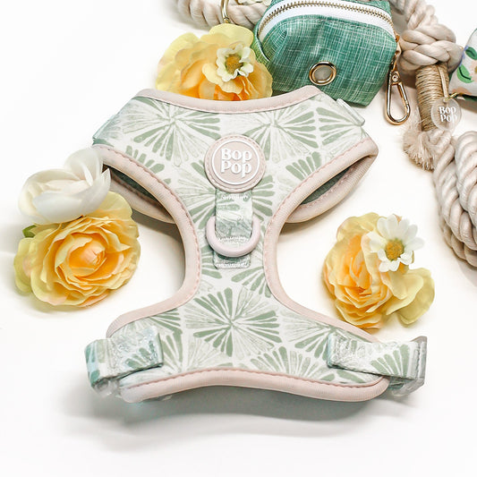 Dog harness with floral decorations on a white background