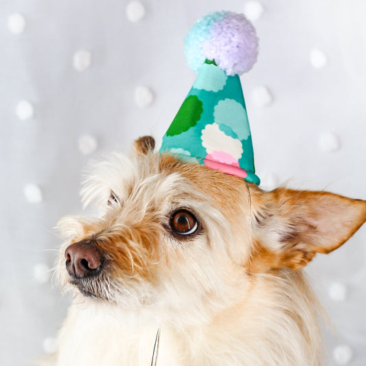 dog birthday party hat for dogs cats pet celebration Dog Party or Gotcha day celebration Bop Pop Pets pet accessories Made in USA, Premium handmade Cotton hat for boy dogs blue, green, pom pom