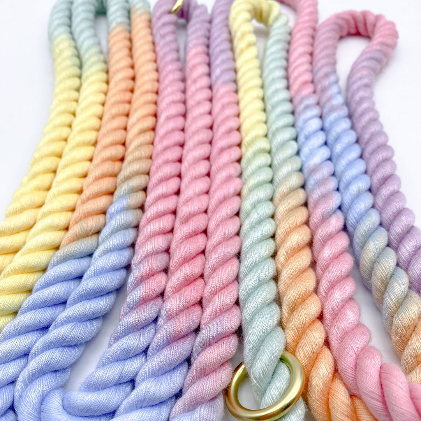 Pastel Candy Lollipop Rainbow gradient ombre hands free rope leash 8ft long cotton pet dog cat walking gold hardware small business bop pop pets accessory leash pink, mint green, blue, yellow, lilac