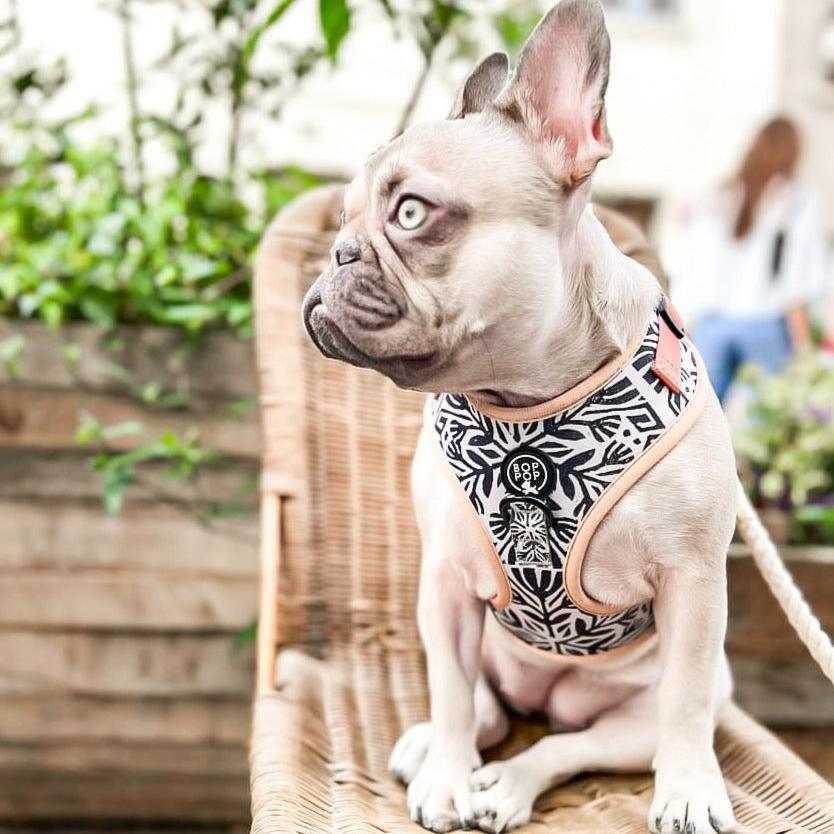 Morocaan print boho style dog cat harness soft comfortable no pull pet harness tan black off white frenchie fit