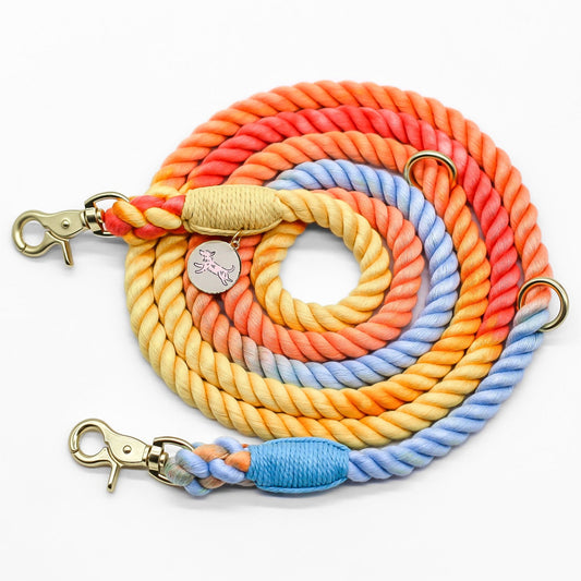 Rainbow gradient ombre hands free rope leash 8ft long cotton pet dog cat walking gold hardware small business bop pop pets accessory leash