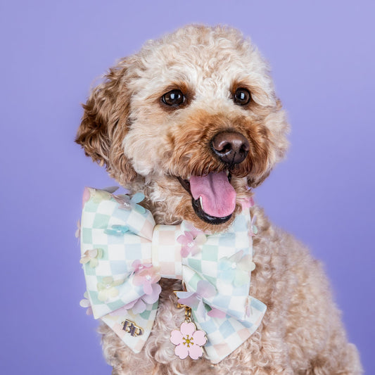 mini golden doodle dog collar bow in sailor bow pet accessory. Cotton puffy bow for dogs and cats. Bop Pop pets for pampered pups dog mom style