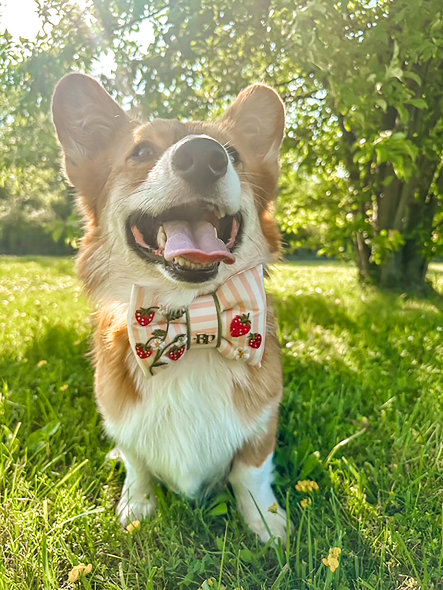 Sweet Garden Sailor + Bow Tie in Strawberry Bliss