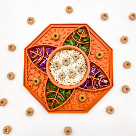 Slow Feeder Bowl + Activity Mat | Sienna