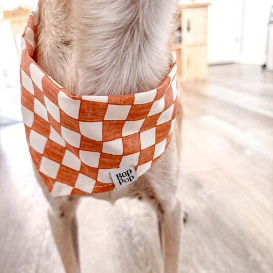 A close-up of a dog wearing a checkered orange and white bandana, standing on a light wood floor in a bright indoor setting. The bandana has a small white label that reads 'Bop Pop'.