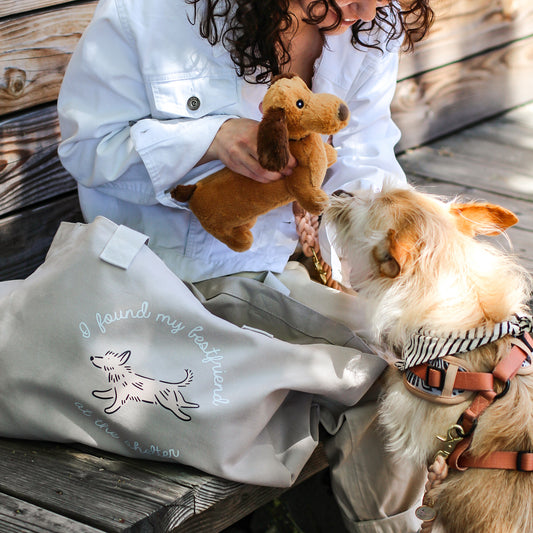 OVERSIZE Canvas Tote Bag | MOCHA