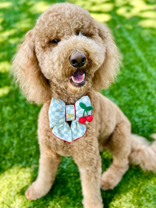 Dog wearing cherry checkerboard sailor bow tie and red collar in a garden setting. Red satin trim for pet bows and dog collars for Goldendoodle