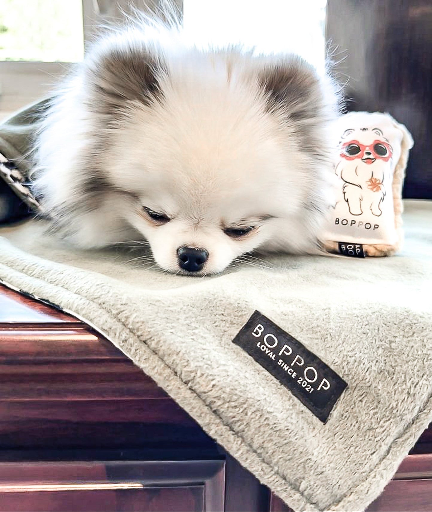 Premium Fleece Mini Pet Blanket | JADE