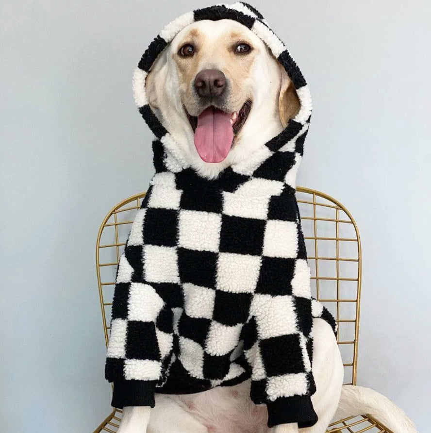 BIG Dog Hoodie Checkerboard Black White Boppoppets