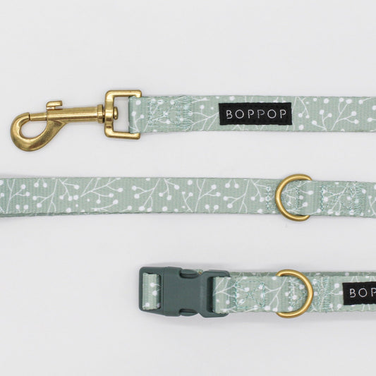 Dog Leash & Collar Set Juniper Print Brass Hardware