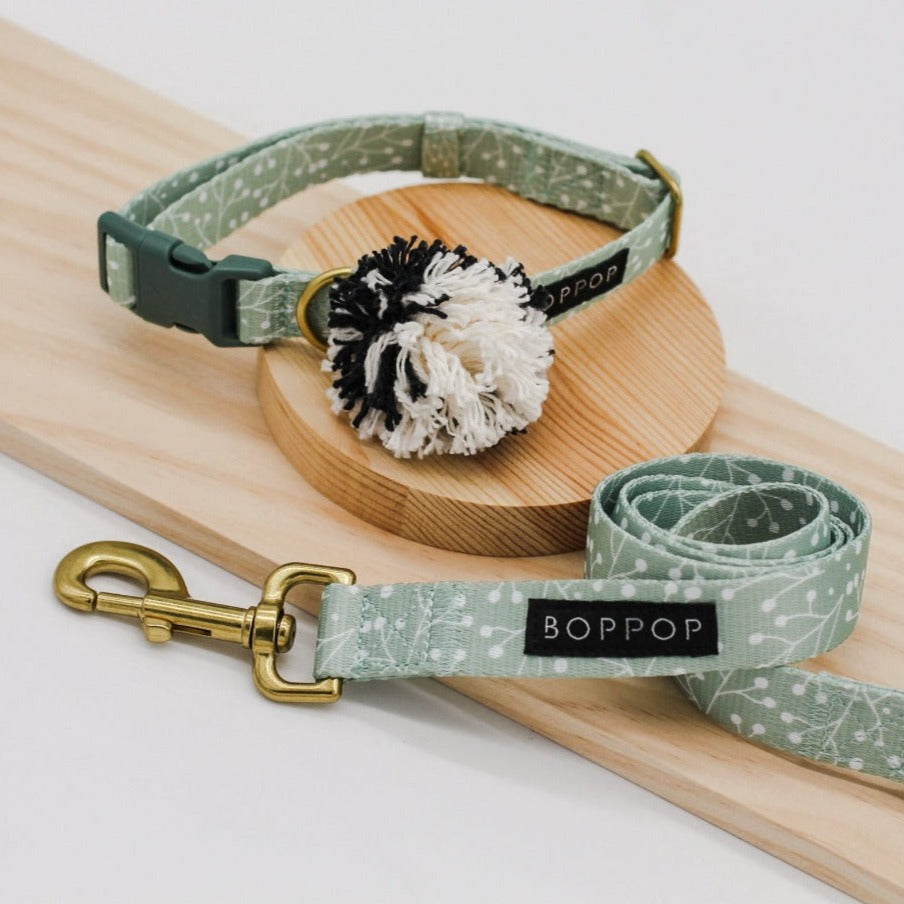 Dog Leash + Collar Set Juniper Print