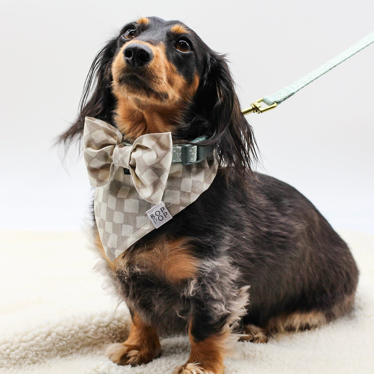 Juniper Dog Collar Nylon Green