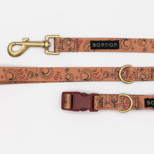 Dog Leash + Collar Set Moonstar Print Brass Swivel Hardware