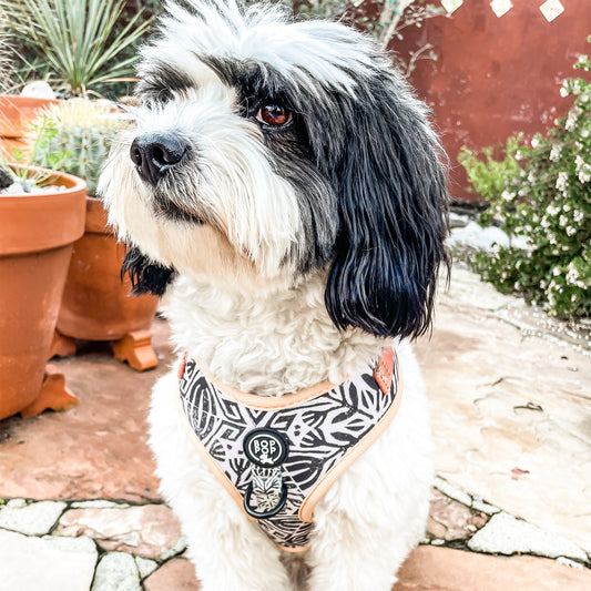 Tierra Luna Dog Harness Moroccan Print Rust Black White boho style dog cat harness soft comfortable no pull pet harness