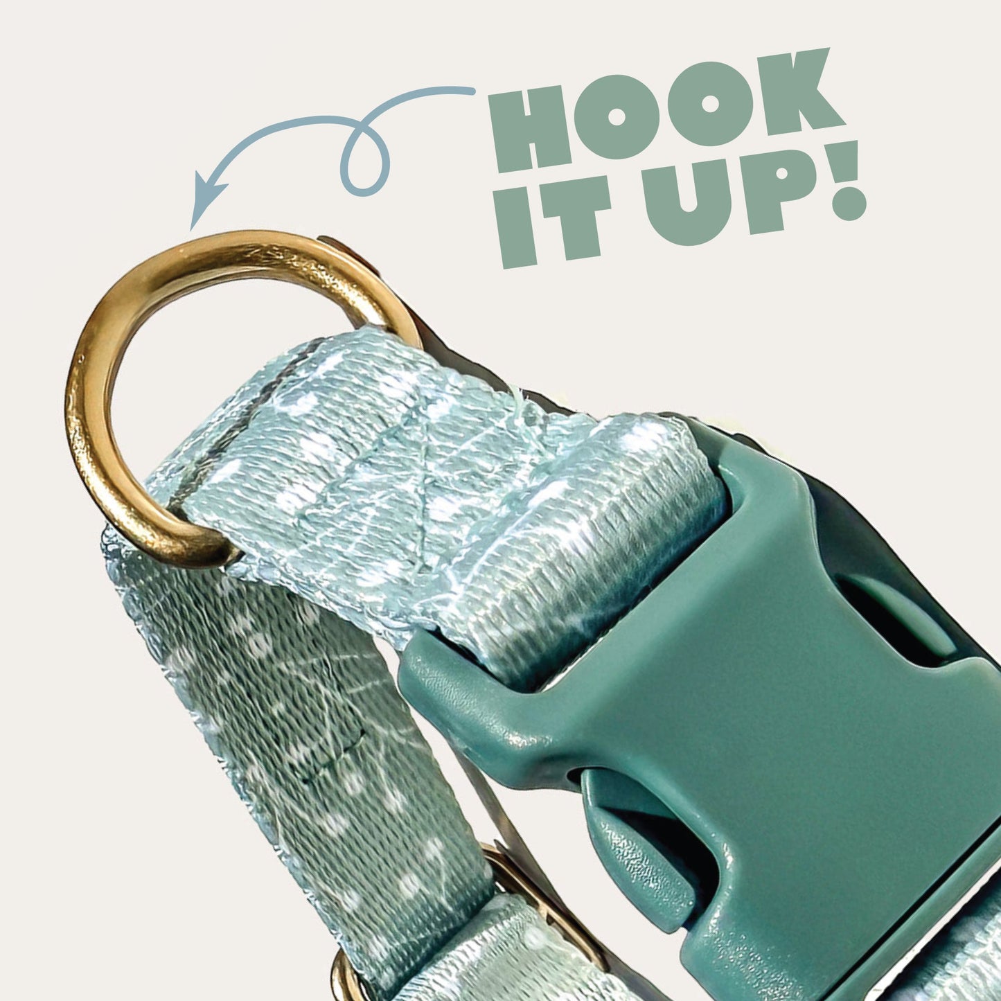 Close-up of a pet collar with a light blue and white patterned webbing, a gold metal ring, and a teal plastic buckle. The words 'HOOK IT UP!' with an arrow point to the ring, highlighting its use.